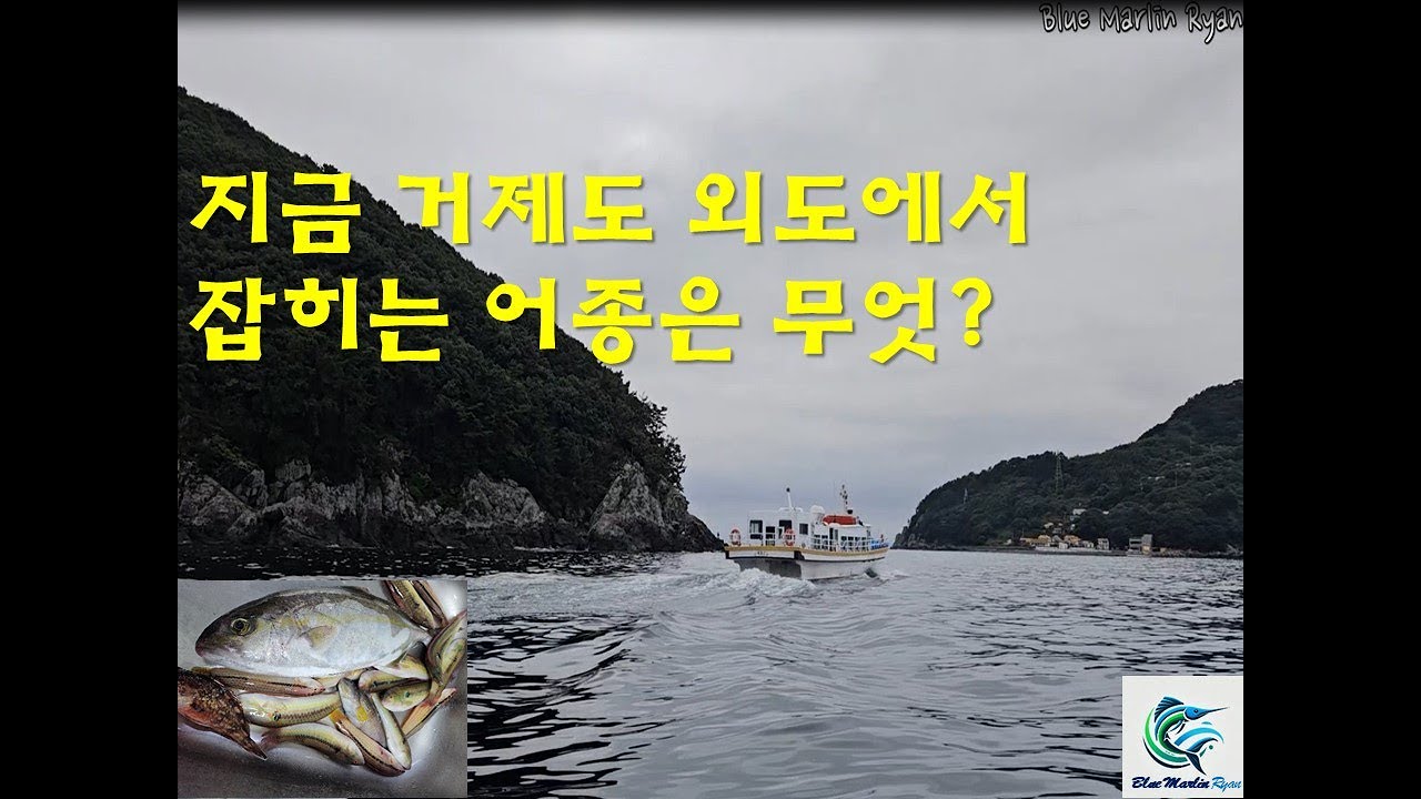 지금 거제도 외도에서 잡히는 것은? (Let's fishing together at Oedo Island, Korea Geoje)#釣り  #fishing #fish #