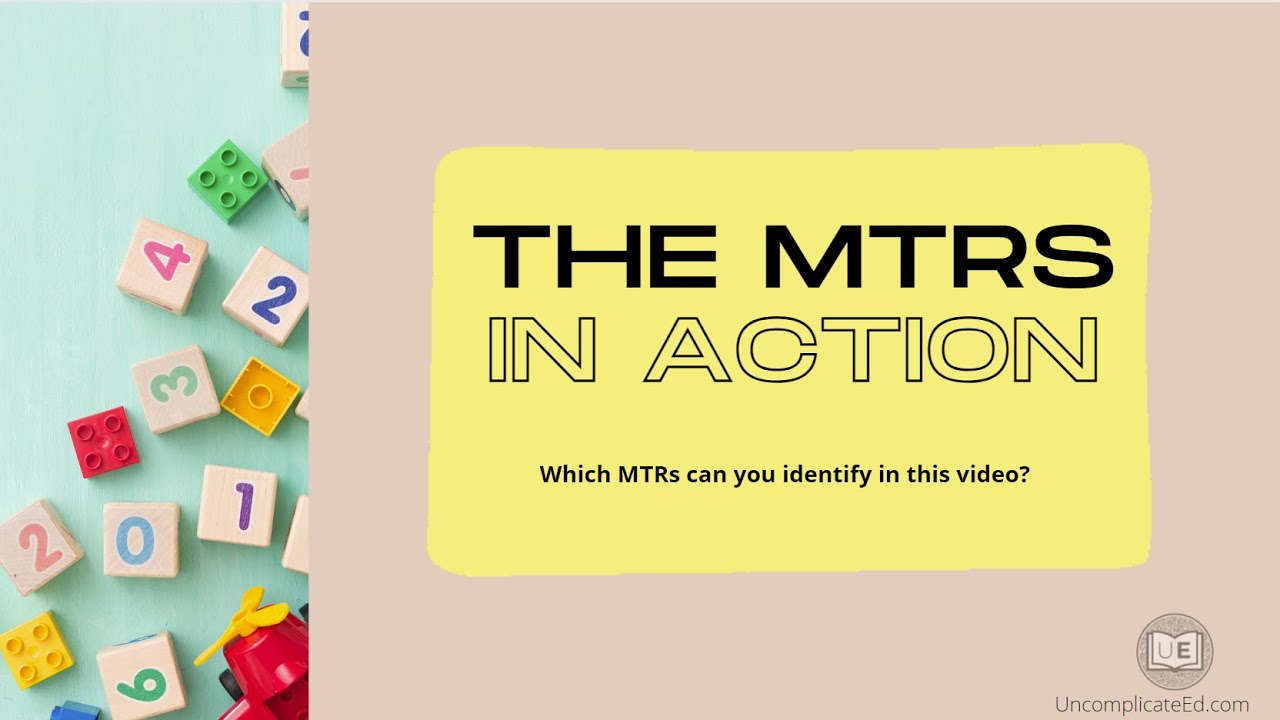 MTRs in Action: Florida's B.E.S.T. Mathematical Thinking and Reasoning Standards