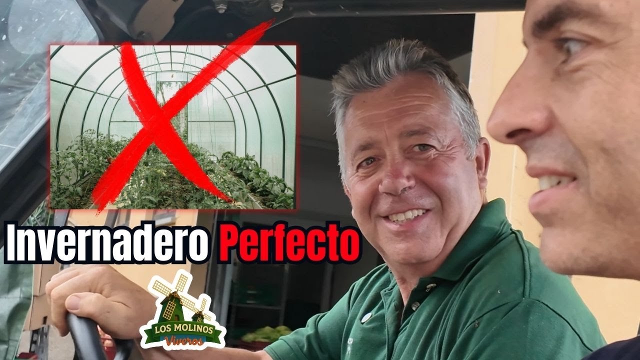Invernadero Ideal para Tomates Sanos 🌱 Secretos de Los Molinos