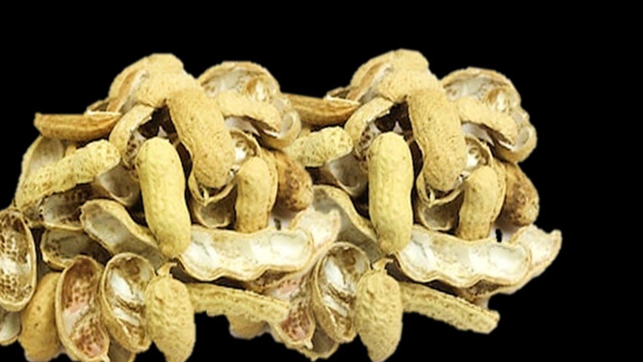 Best Out Of Waste | Peanut Shell Craft Idea | DIY Art and craft | Peanut Shell Reuse Idea