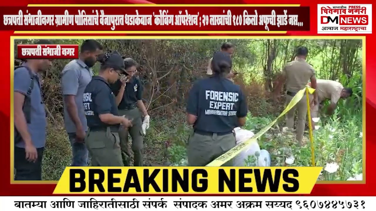 छत्रपती संभाजीनगर वैजापूर येथे धडाकेबाज कारवाई कोंबिंग ऑपरेशन 27 लाखाची 180 किलो ची अफुची झाडे जप्त