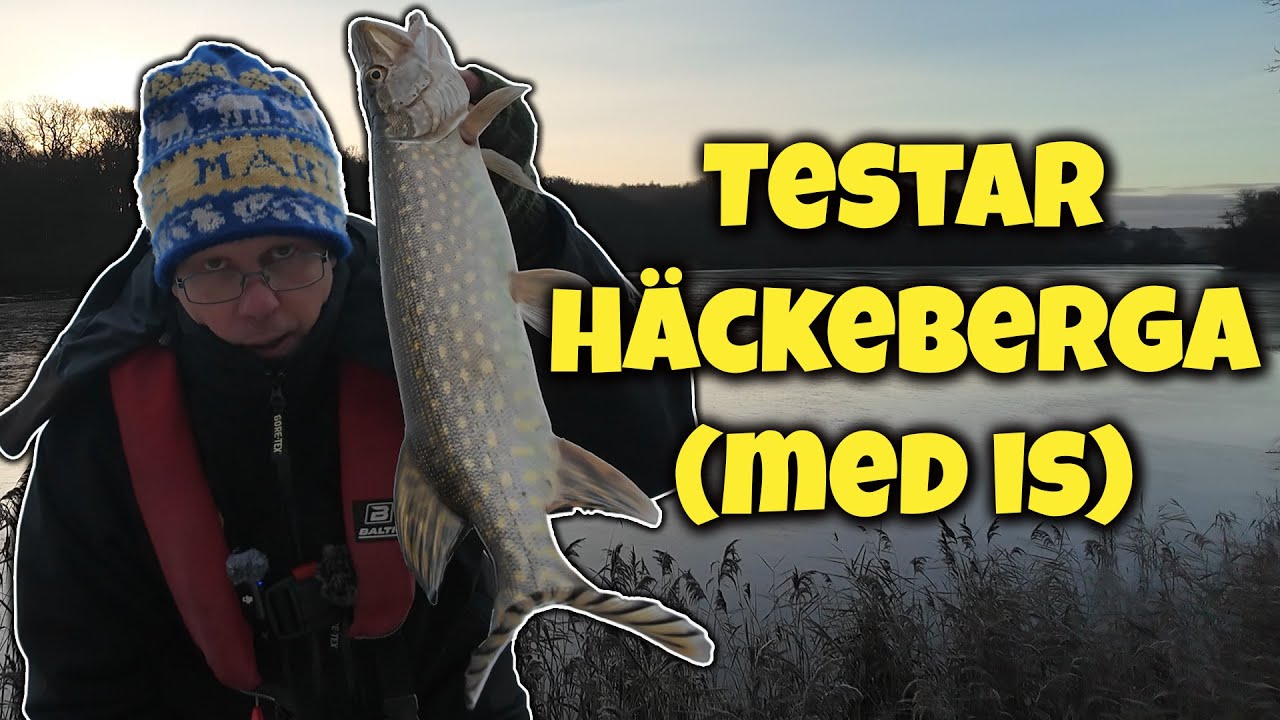Mårten testar - Gäddfiske i Häckebergasjön (igen)
