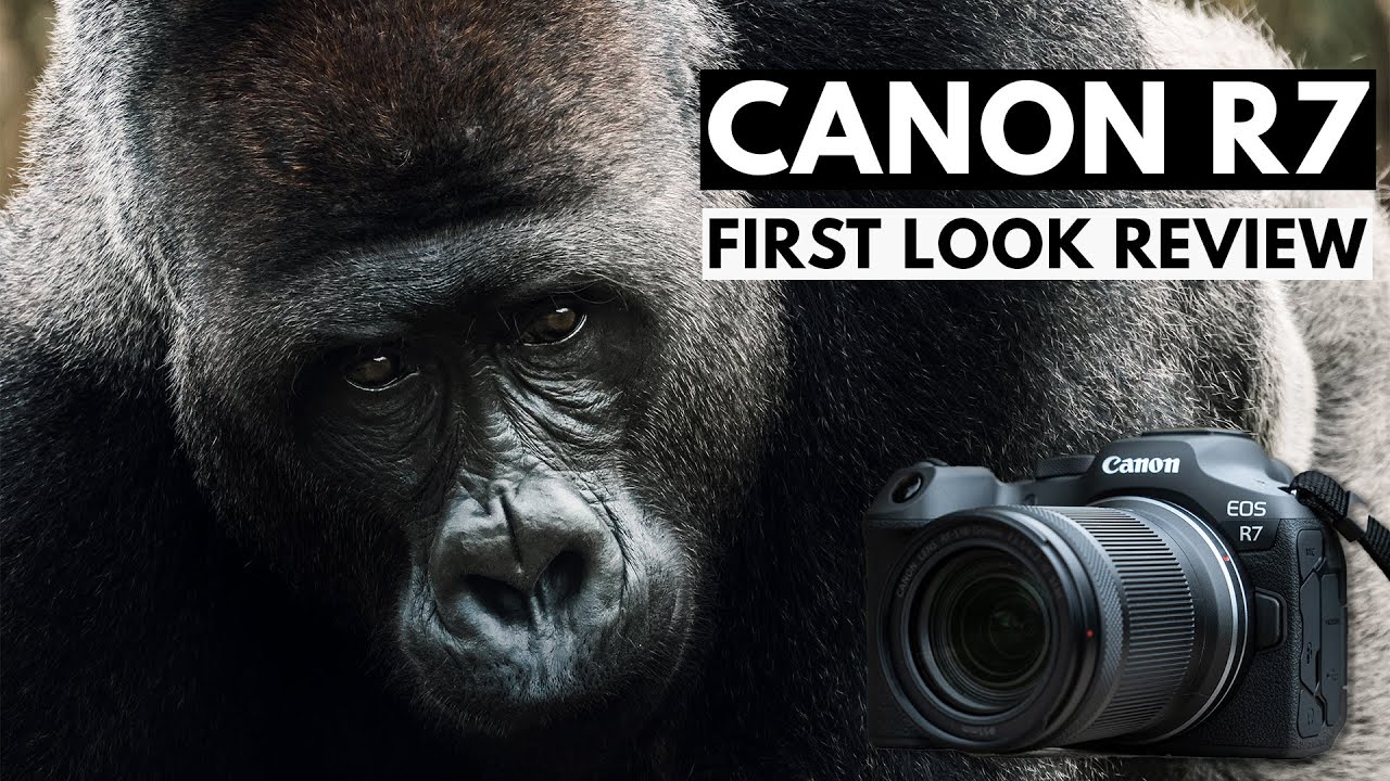 Canon R7 Review | Everything We Wanted From an APS-C