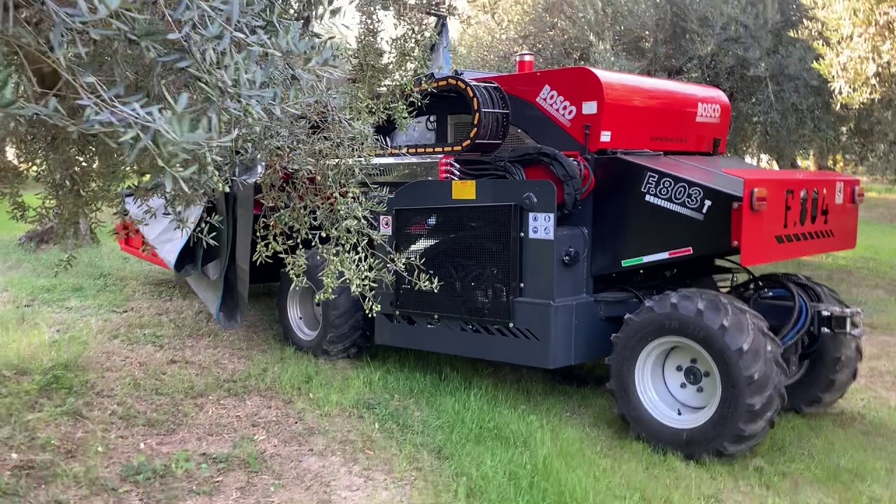 BOSCO - raccolta olive meccanizzata F.804 (testata vibrante + ombrello) / mechanized olive harvest