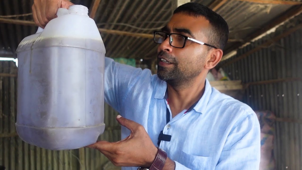 সরিষা ভাঙ্গিয়ে কতটুকু খাঁটি তেল পেলাম। Mustard Seeds Harvest Oil Processing