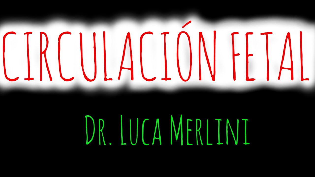 Embriología: Circulación Fetal