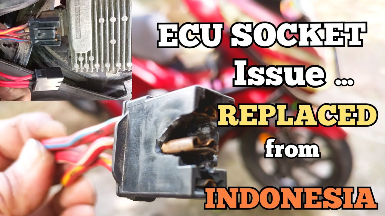 PCX 150 E.C.U SOCKET PROBLEM... REPLACE SOCKET FROM INDONESIA