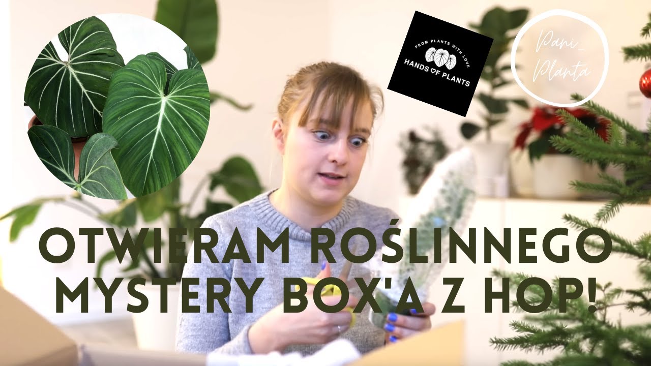 Otwieram Mystery Boxa z HoP dla średniozaawansowanych cz.2