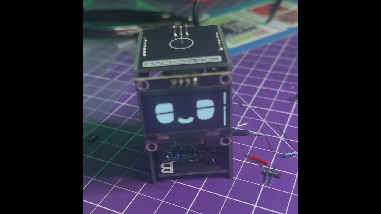 Building a Hackerbox Mochipet