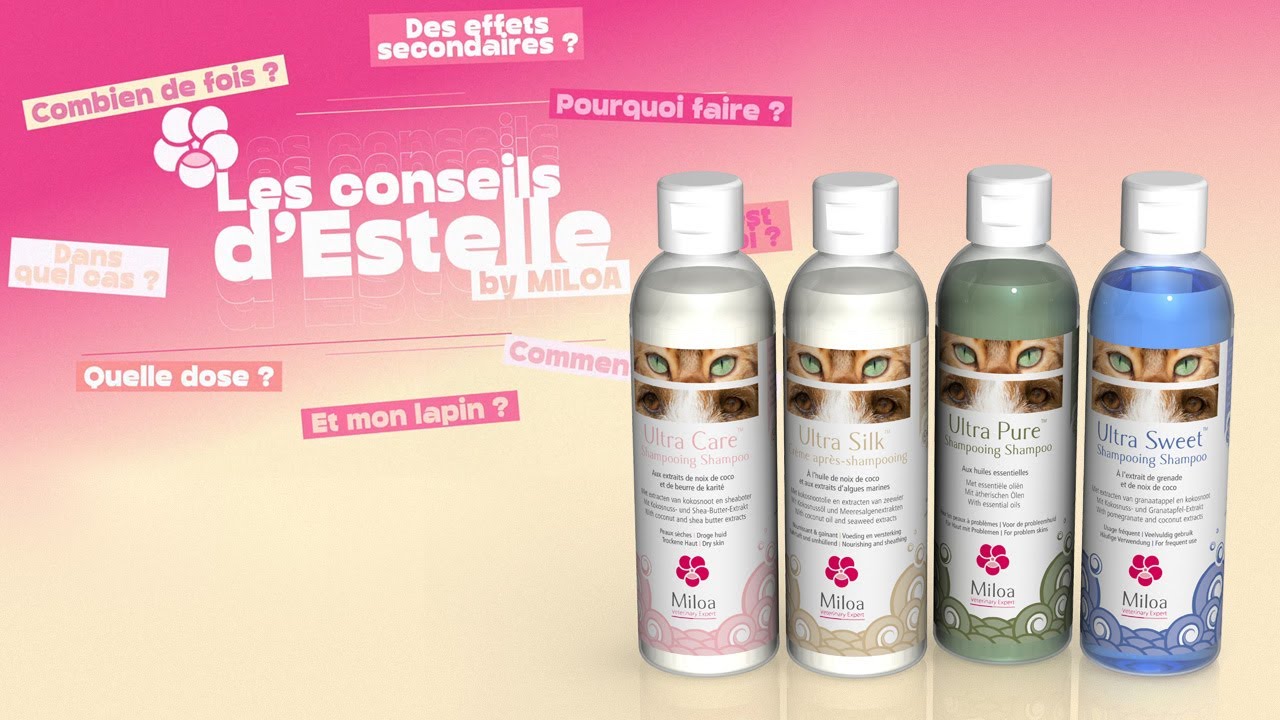 Tout savoir sur les 3 shampoings et la crème après-shampooing Miloa