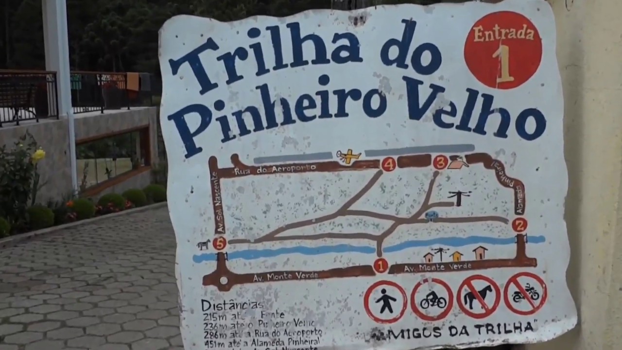 TRILHA DO PINHEIRO VELHO - |MONTE VERDE/MG|