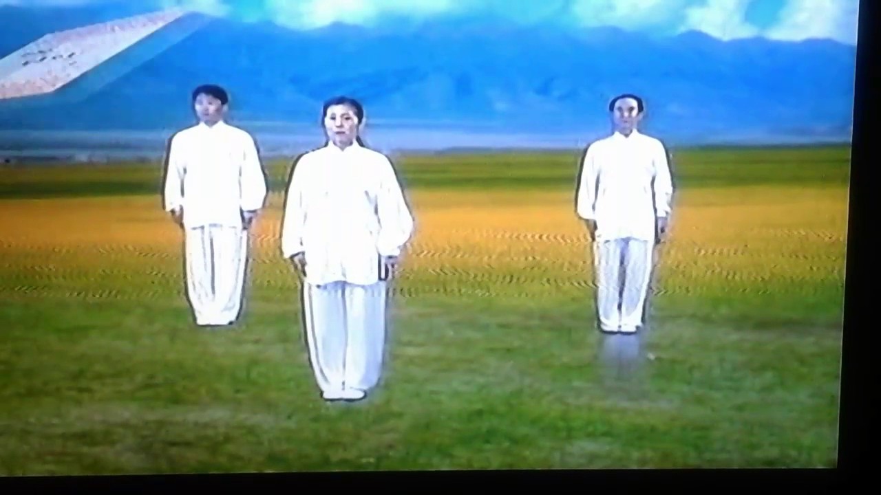 yangsheng taiji shan . Éventail du taiji pour nourrir la vie