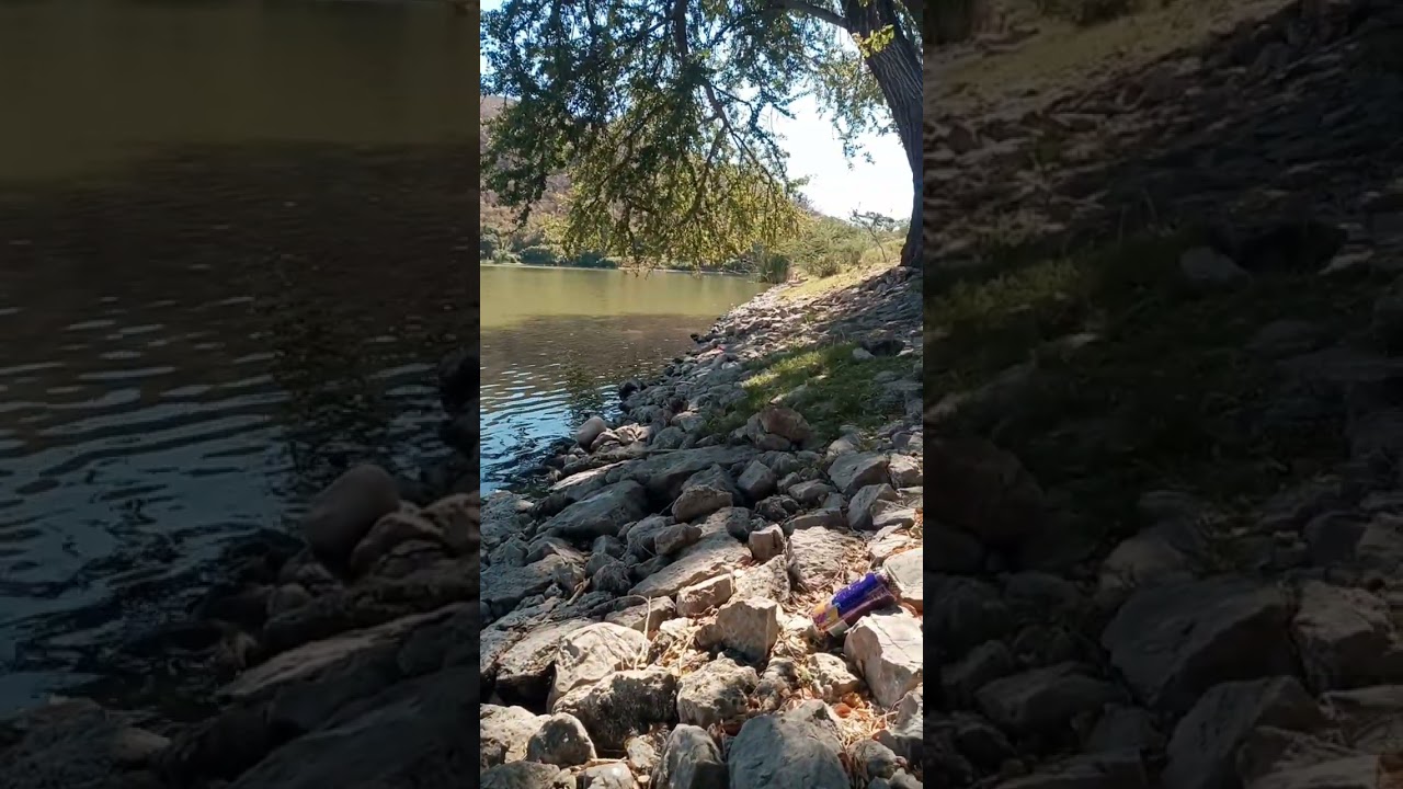 Caña de pesca  shimano fx 6 pies con carrete Shimano 4000. ✨✨✨⭐🤗