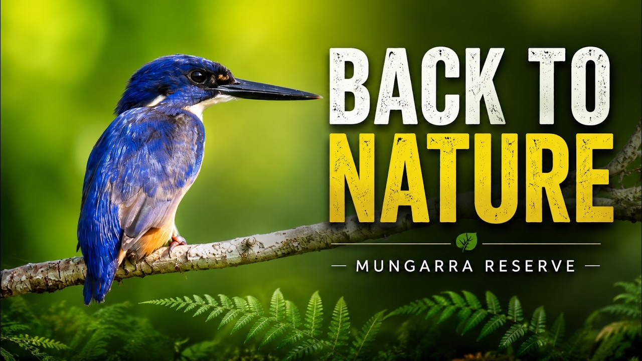 Wandering Through Mungarra Reserve | Birdwatching & Wildlife Photography Adventures