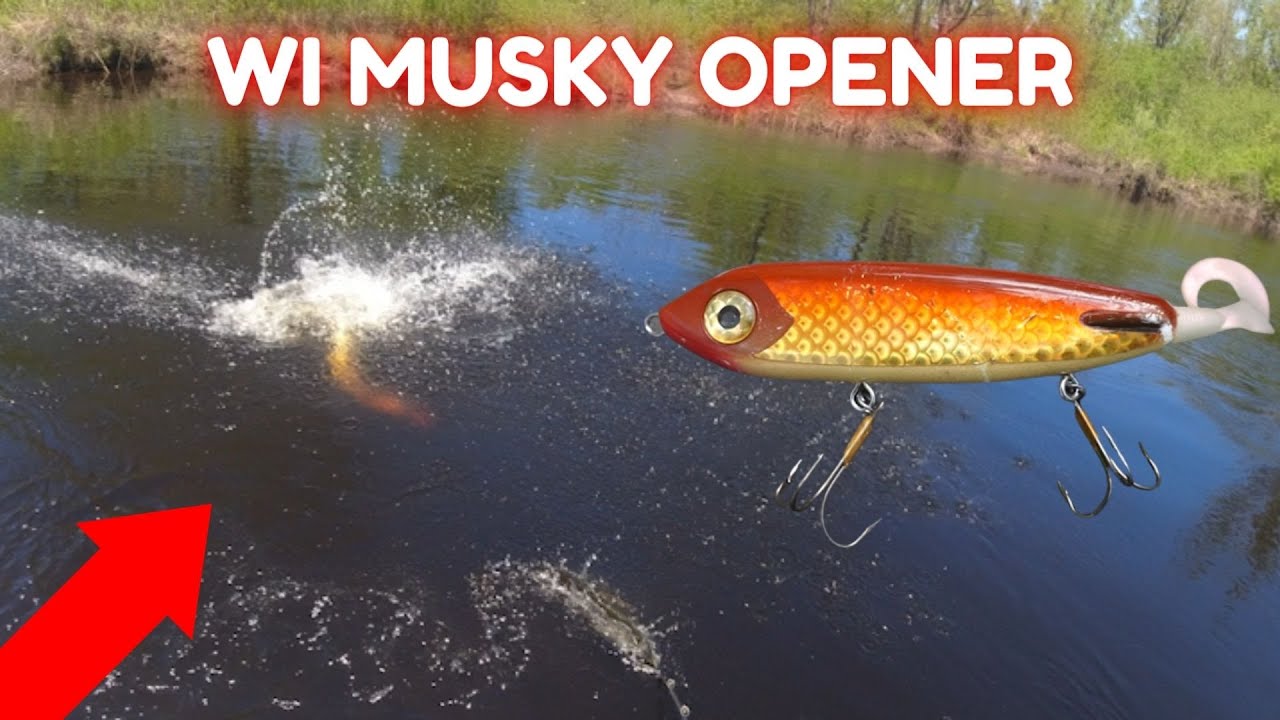 Northern Wisconsin Musky Opener 2023 - SUCCESS
