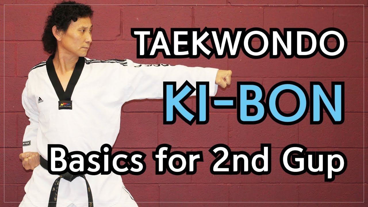 🥋 Taekwondo 2nd Gup Kibon (Basic Blocks, Strikes and Thrusts) | TaekwonWoo