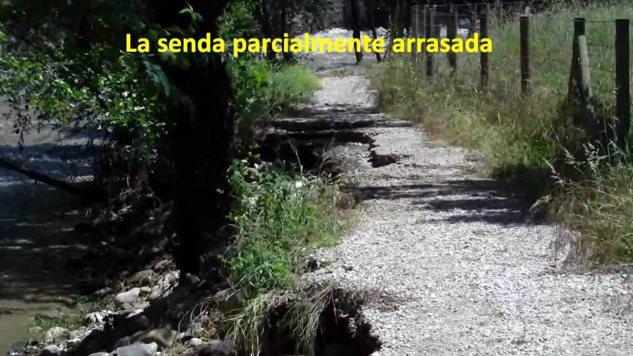 Riada 2010