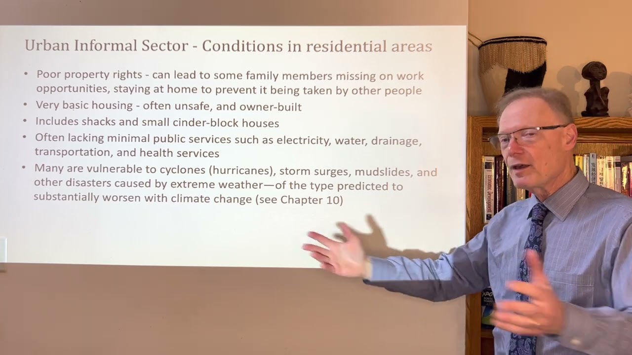 The Urban Informal Sector