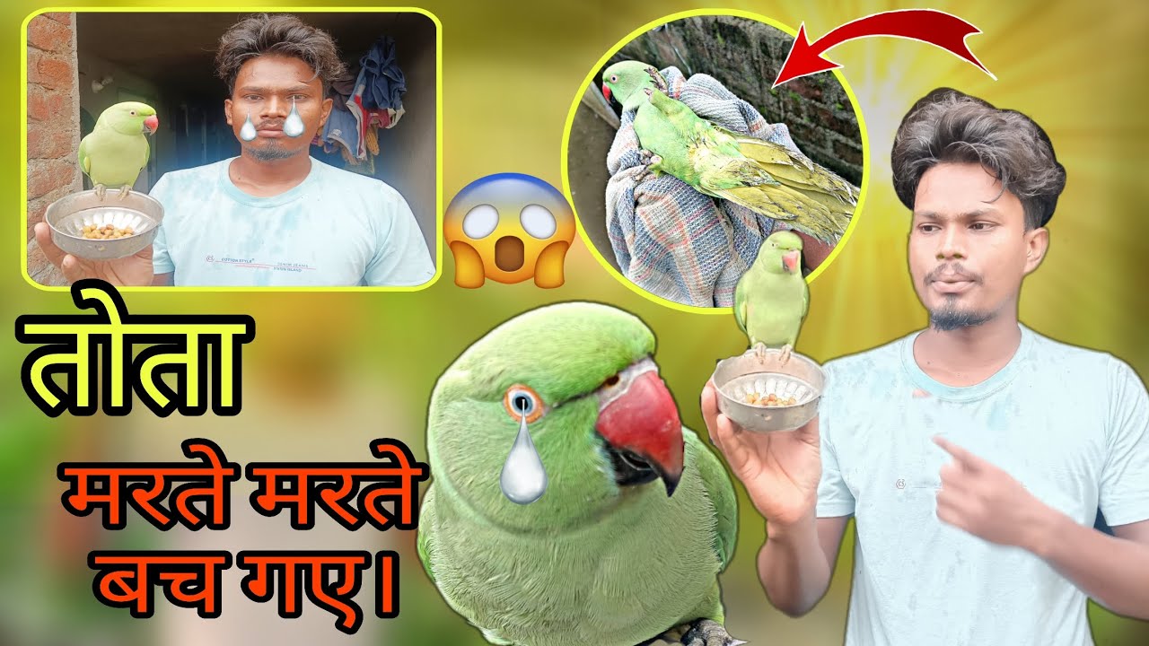 हे भगवान बचा ले || तोता राम नाम || मरते मरते बच गए ||#video 