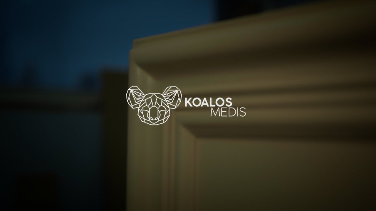 Koalos medis - baldžių įmonės pristatymas | Mainstream.PRO