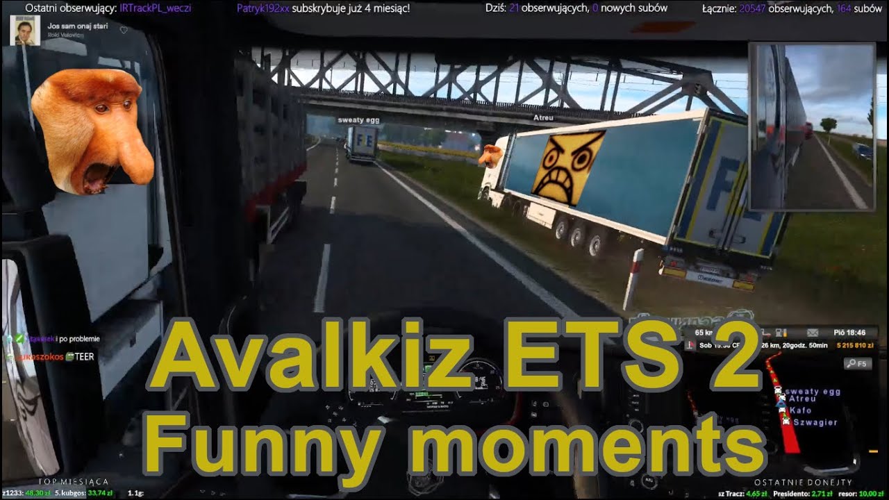 Avalkiz ETS 2 Funny moments #8