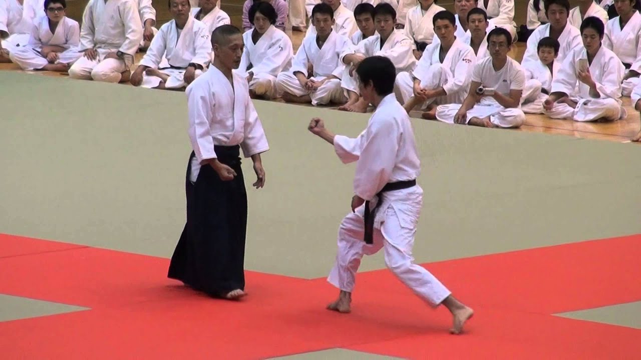 第60回演武会 養神館 千野先生 -2015 Demo Yoshinkan Chino sensei