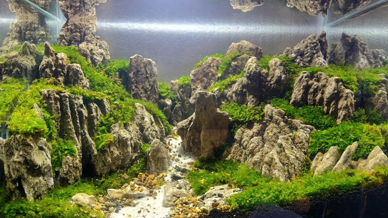 #39 Aquascape batu pasir