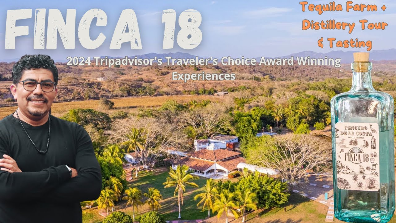 Discover the Authentic Tequila Experience at Finca 18 – Puerto Vallarta’s Hidden Gem / agave fields