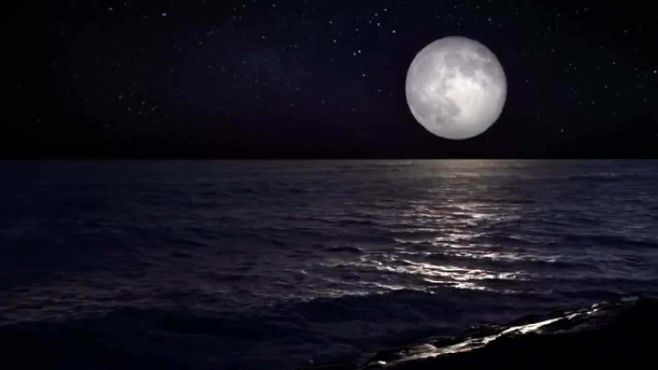 Beach Night Relaxation