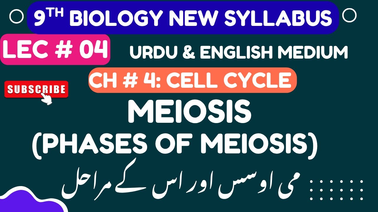 Lec 04: Meiosis | 9 Class Biology Chapter 4| Urdu English | New Book 2025 | PCTB| New Syllabus