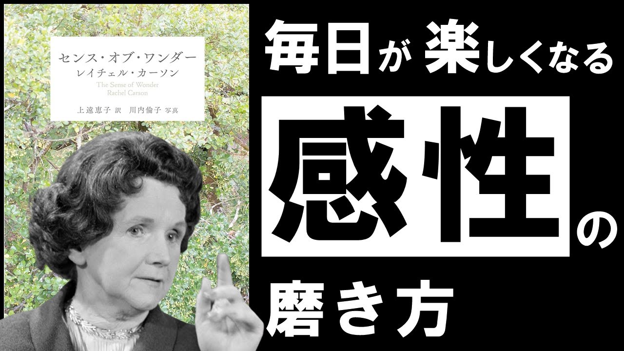 【名著】センス・オブ・ワンダー｜カーソン　退屈な毎日に、終止符を。～豊かな人生を送るために、本当に必要なモノとは？～