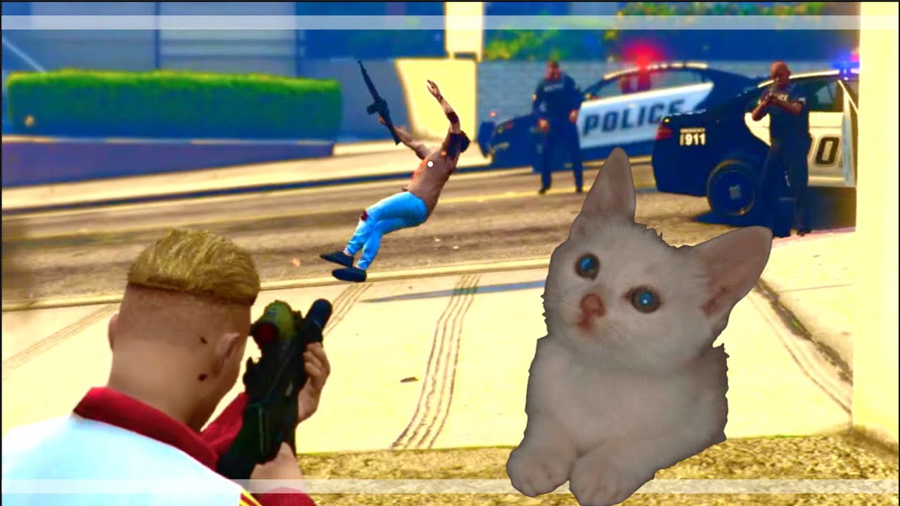A Kitten And A Cretin | GTA ONLINE