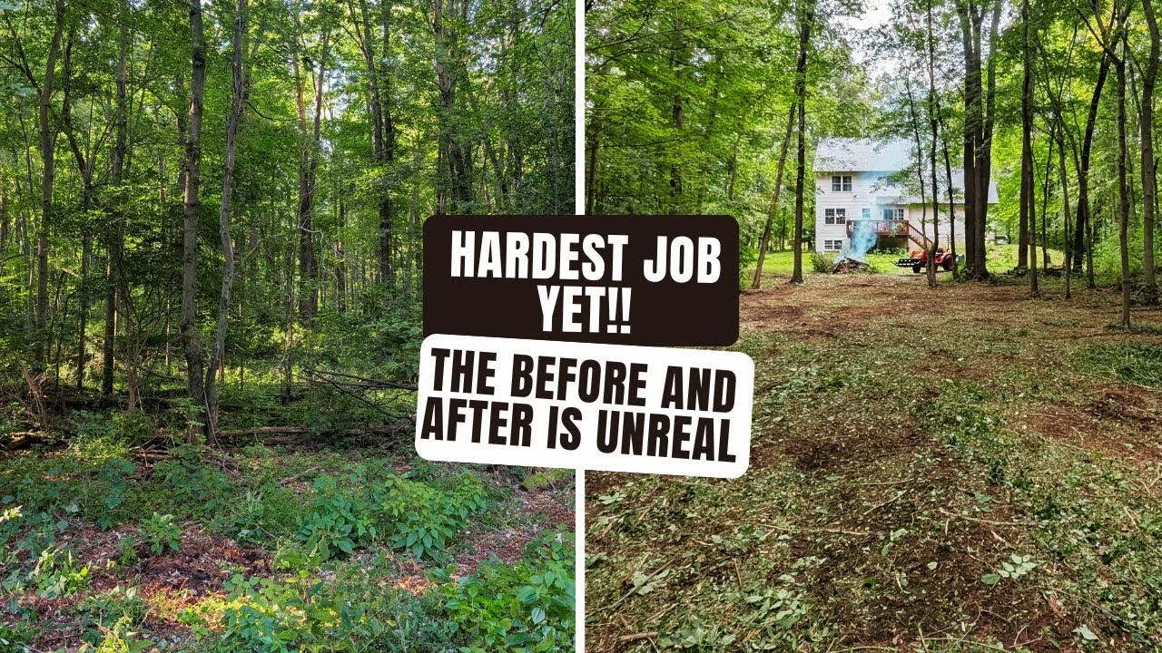 INSANE Transformation: OVERGROWN Forest Cleared with Mulcher & Garvee Clamp On Debris Forks