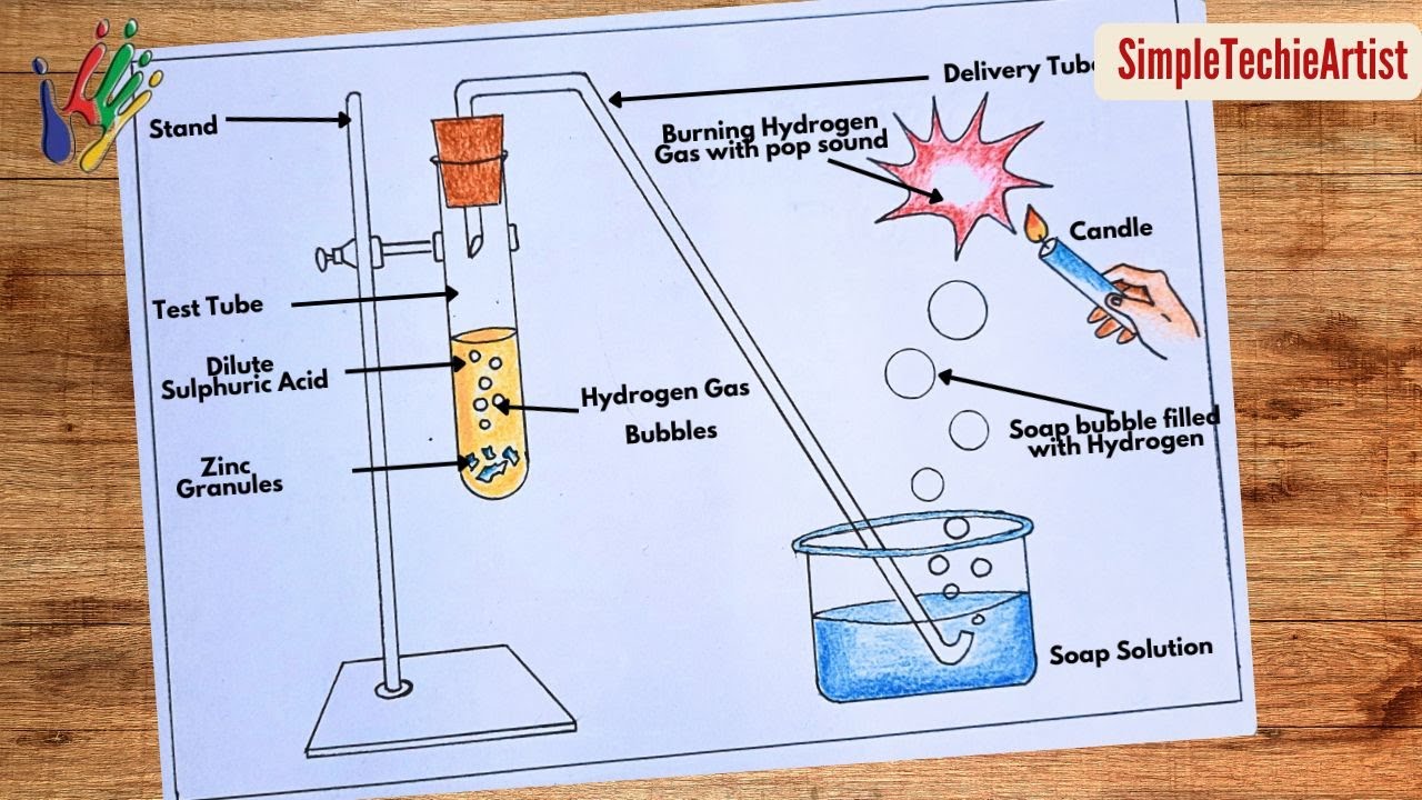 How To Draw Reaction Of Zinc Granules With Dilute Sulphuric Acid And Testing Hydrogen Gas By Burning