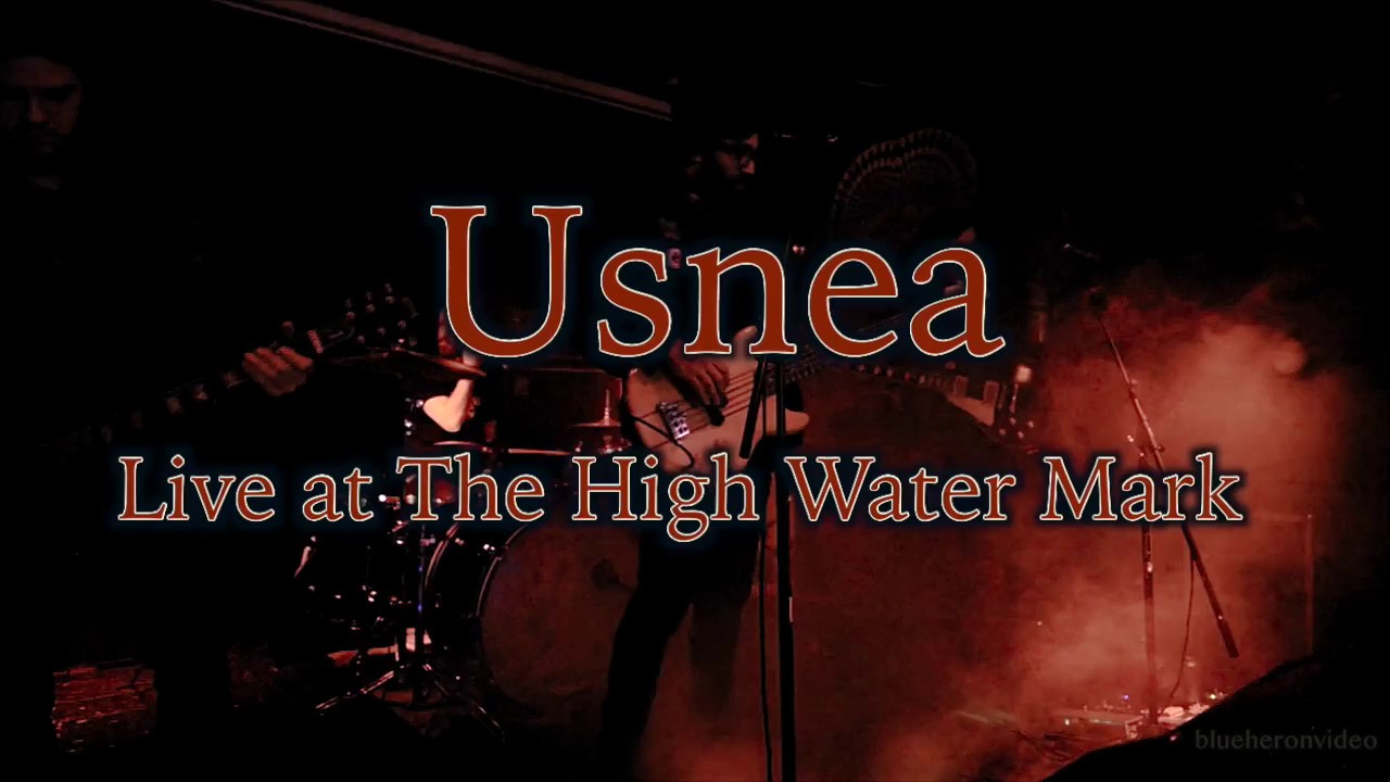Usnea Live -