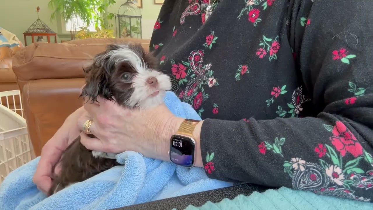 Posey First Bath at 7 Weeks