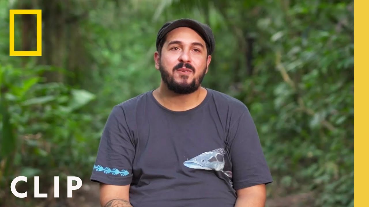 Protecting the Animals of the Amazon | Conservation with Jo&atilde;o Campos-Silva | National Geographic