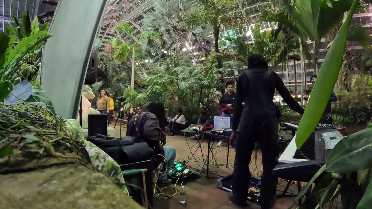 Sidaka & Weary Woodsman- Live At Garfield Park Conservatory (Part 2/2)