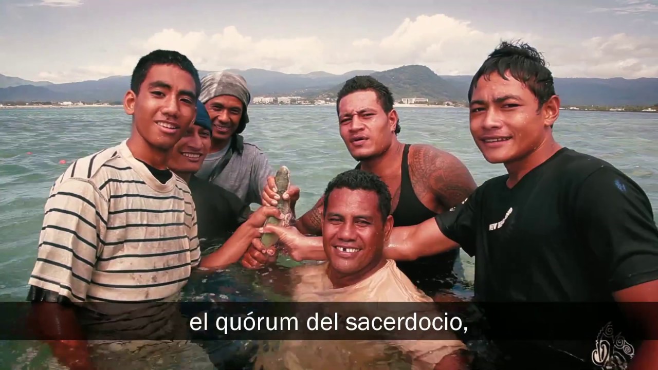 3  Fortalecer los Cuorumes - Sumo Consejo
