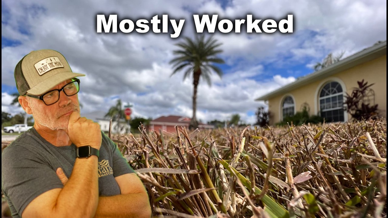 New Way To Get Rid of Bermuda Grass In St Augustine (and Zoysia)