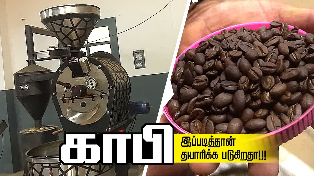 Coffee Processing Explained | Coffee roasting process  | Coffee powder manufacturing in Kolli hills