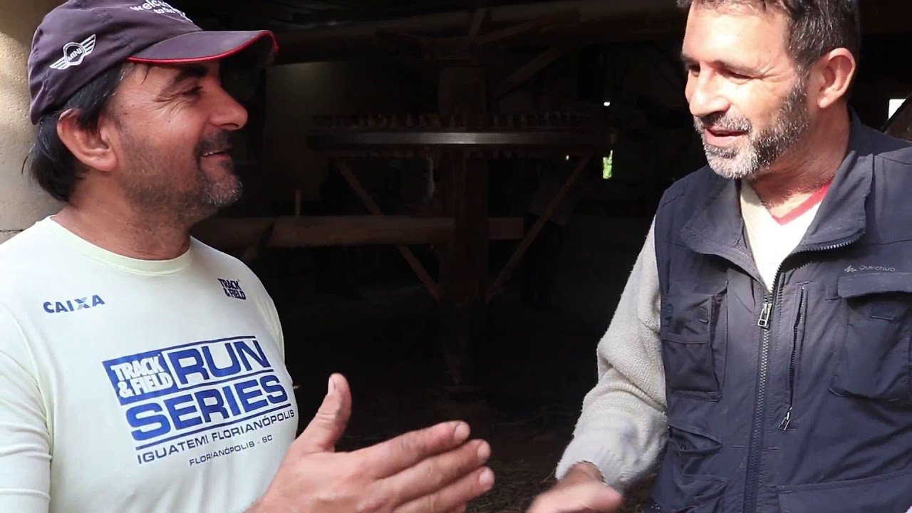 ENGENHO DE FARINHA DE MANDIOCA DO BETO