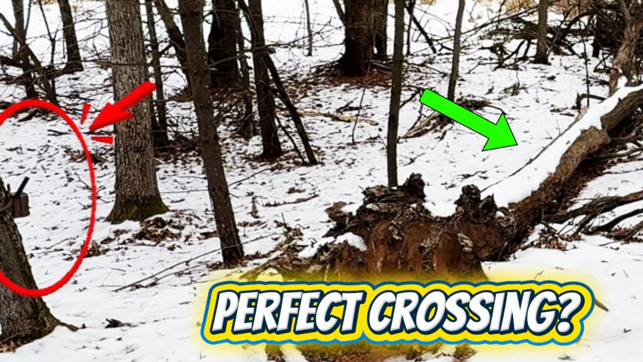 Almost Skipped This Spot… Then This Happened