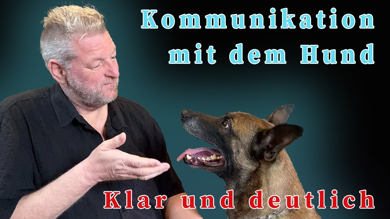 Kommunikation mit dem Hund