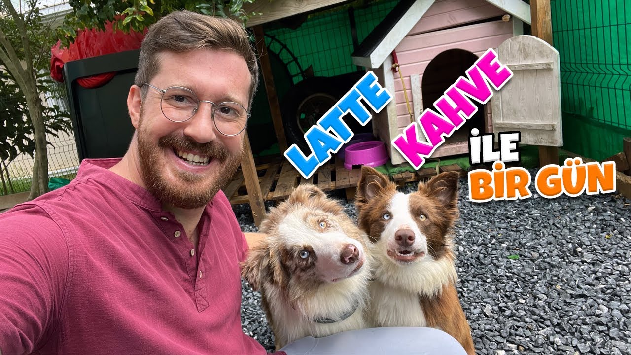 Köpeklerimle Bir Gün (Border Collie Yavru Bakımı)