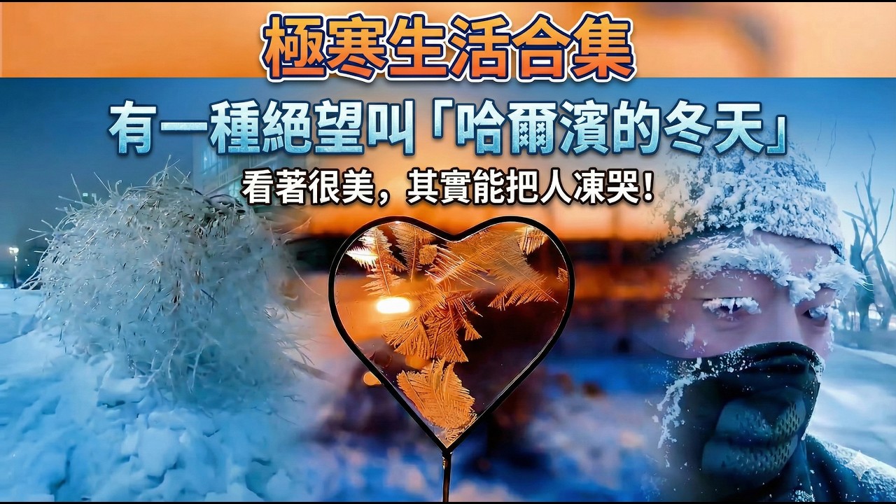哈爾濱到底有多冷？頭髮秒變冰針、出水即結冰！這不是生活，這是生存大挑戰！ #東北 #極寒 #搞笑合集 #旅遊 #生活日常 #獵奇