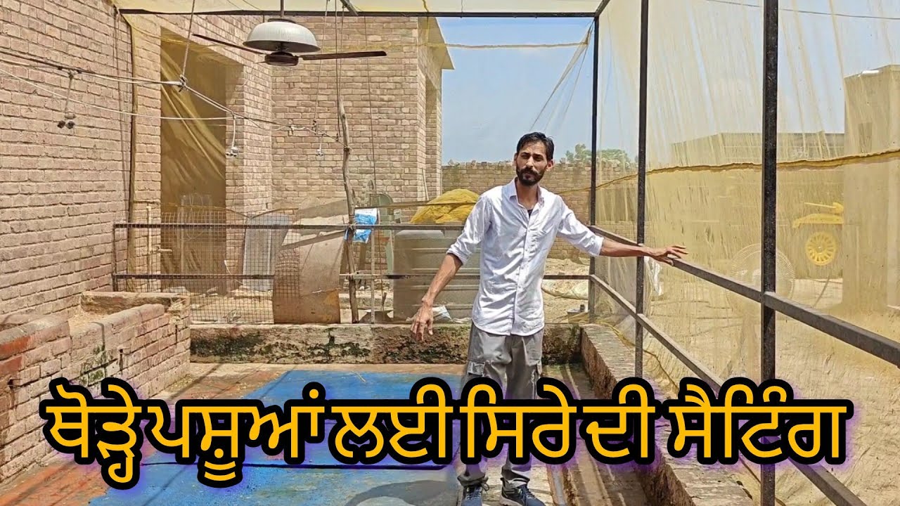ਥੋੜੀ ਜਗ੍ਹਾ ਚ ਘੱਟ ਪਸ਼ੂਆਂ ਲਈ ਸਿਰੇ ਦੀ ਸੈਟਿੰਗ