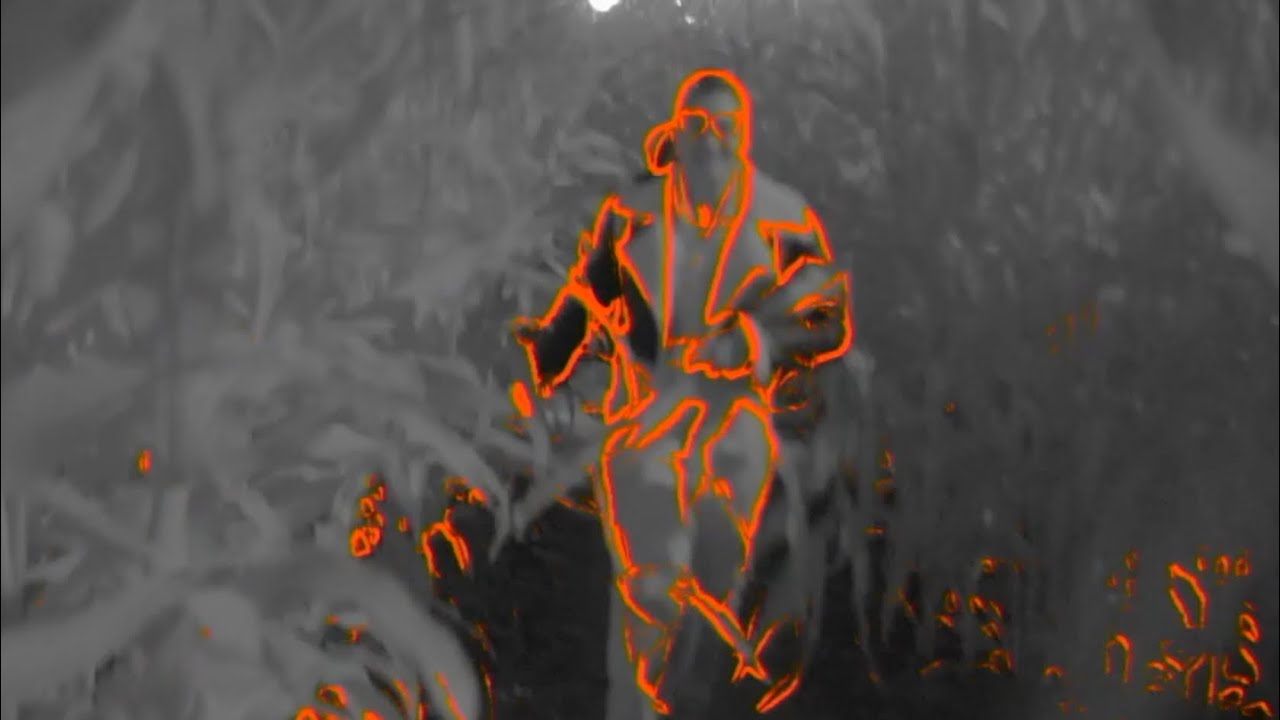 ADNV GF31 Night Corn Maze 2025