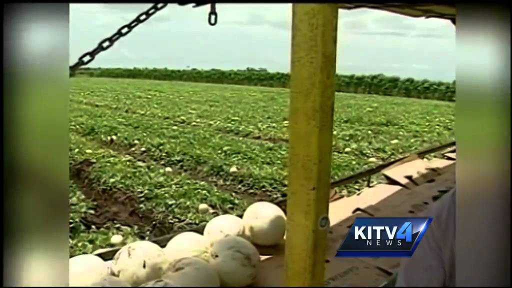 Labor company liable for worker abuse