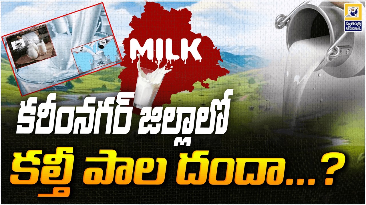 కరీంనగర్ జిల్లాలో కల్తీ పాల దందా...? | Adulterated Milk Scam In Karimnagar District |